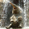 Bild von einem Elefant unter einem Wasserfall