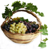 Bild mit Weintraubenkorb in der Rubrik Weinsorten - Rebsorten